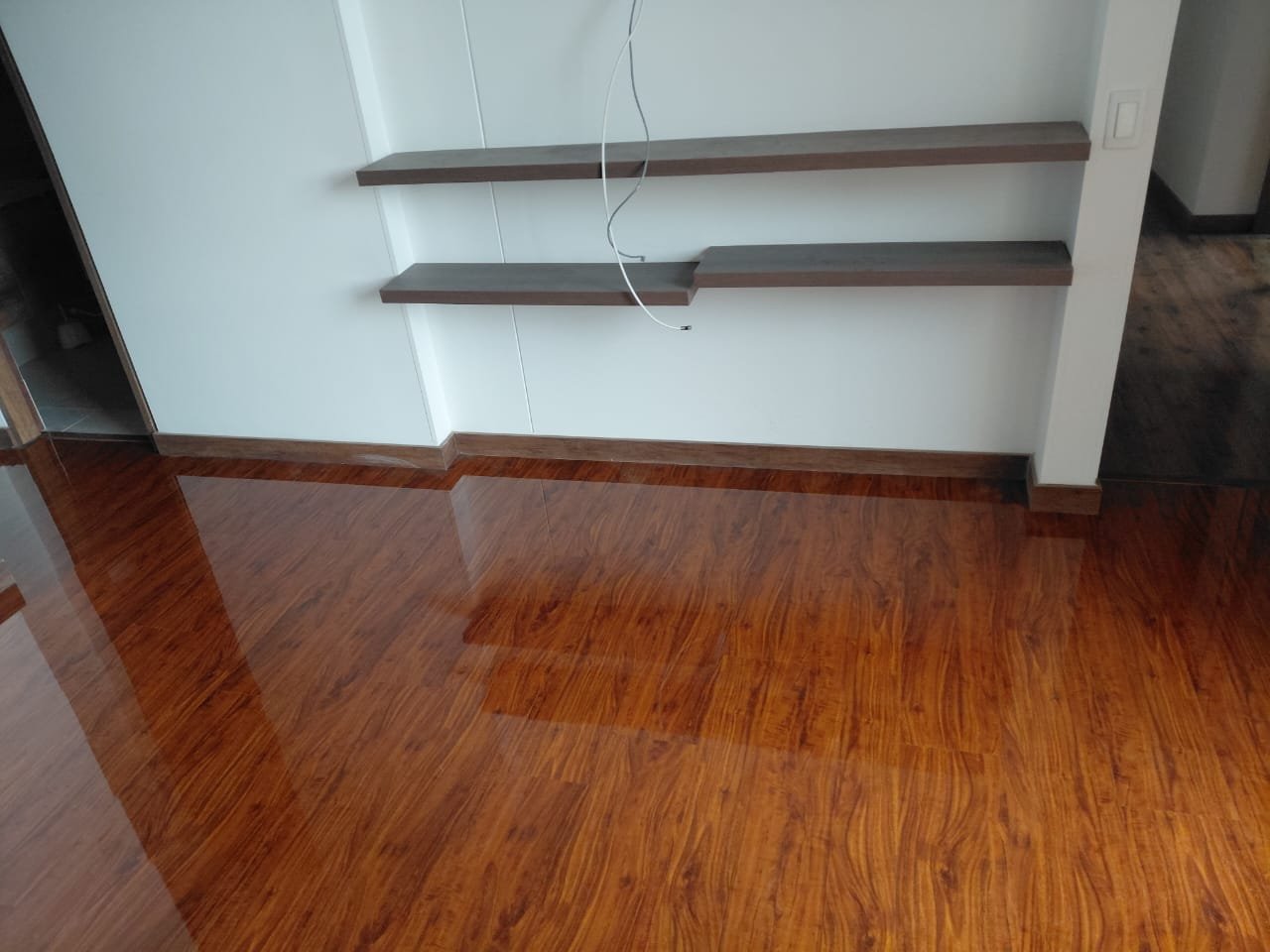 Proyecto guardaescobas
